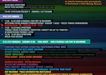 Finał WOŚP w Orchowie