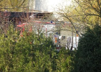 „Ptactwo paskudzi DAF-a w ogrodzie”