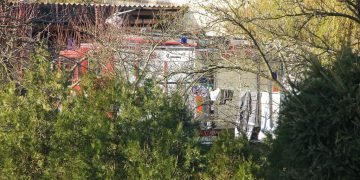 „Ptactwo paskudzi DAF-a w ogrodzie”