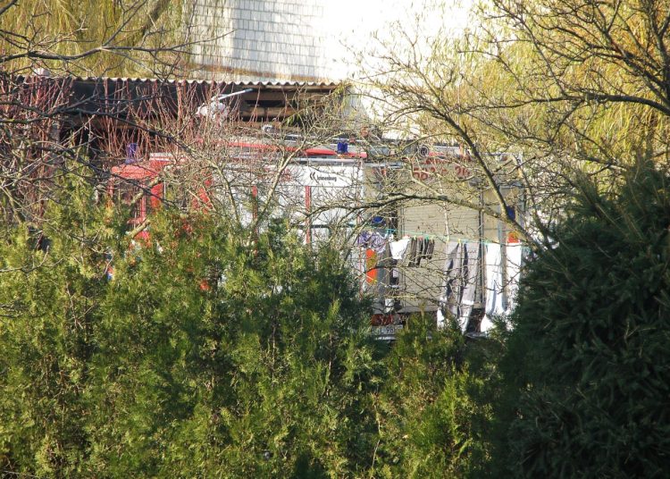 „Ptactwo paskudzi DAF-a w ogrodzie”