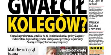 Przegląd wydania nr. 1