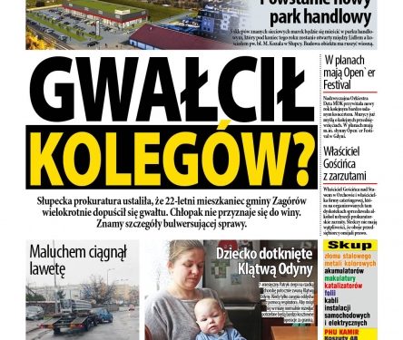 Przegląd wydania nr. 1