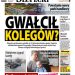 Przegląd wydania nr. 1