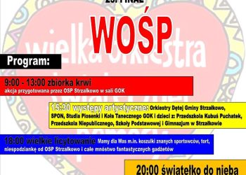 Finał WOŚP w Strzałkowie