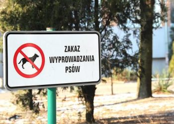 Nie może się doprosić tabliczki