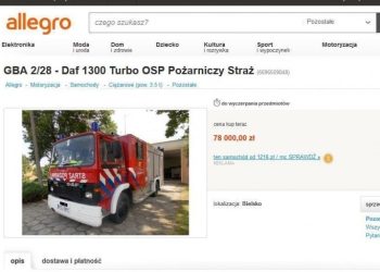 DAF na allegro za marne grosze