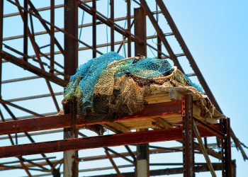 Rusztowania w pigułce