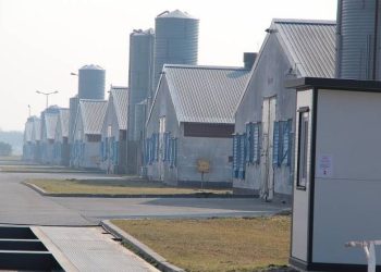 Konspol wybuduje kolejne kurniki