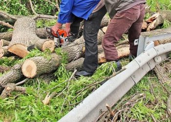Na razie pytają. Nie wycinają