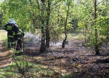 Wypalanie traw – Strażacy ostrzegają