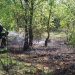 Wypalanie traw – Strażacy ostrzegają