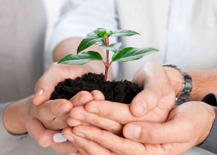 Jak chronić nazwę i logo firmy