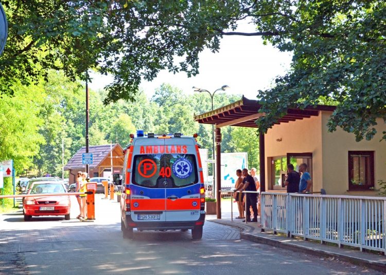 Na ratunek w gąszczu turystów