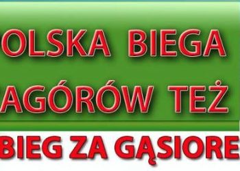 Czwarty bieg za gąsiorem