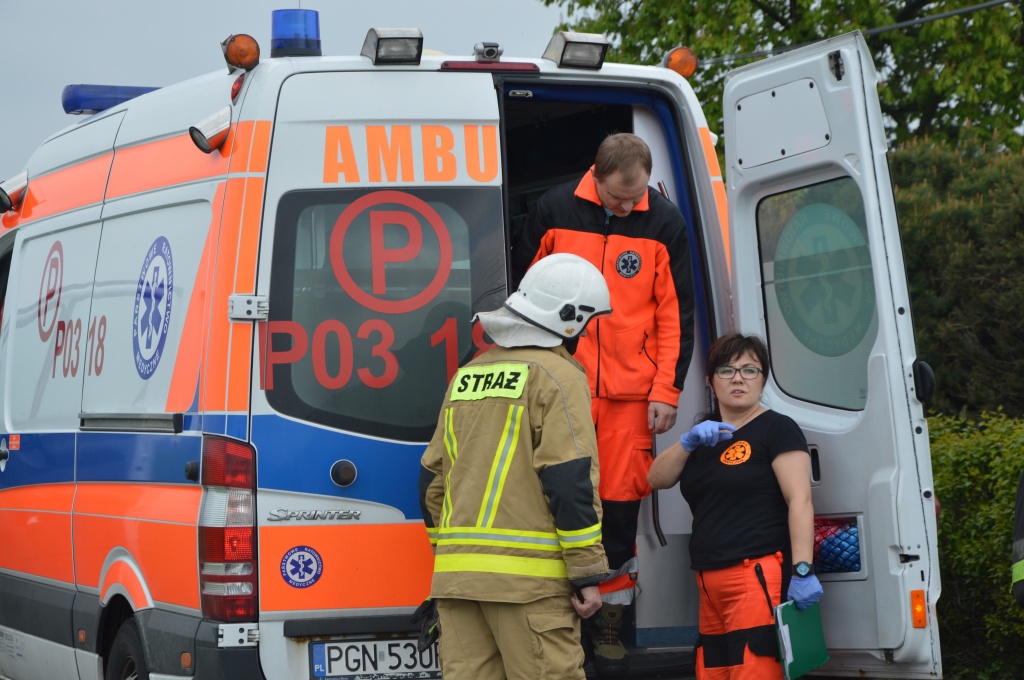 Groźnie w Witkówku. Wjechała w posesję