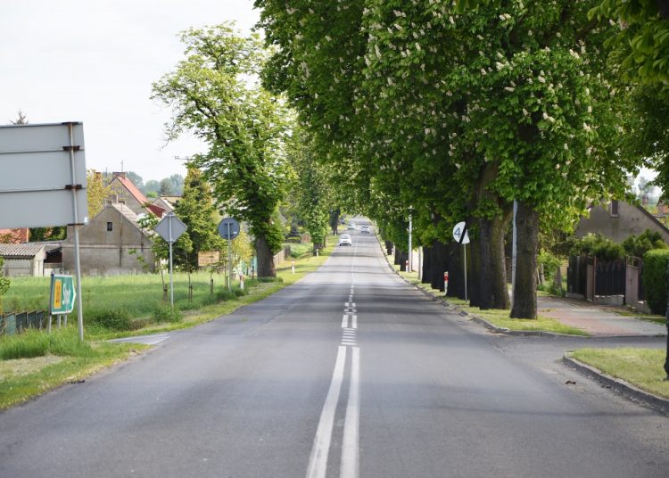 Wycięli 60 drzew. Będą kolejne?