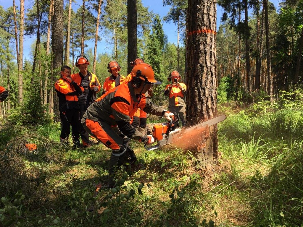 Drwal z Wólki wśród najlepszych w Polsce