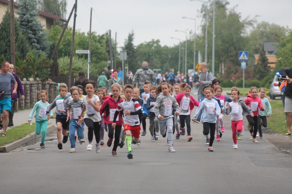 Rekordowy strzałkowski kierunek. FOTO