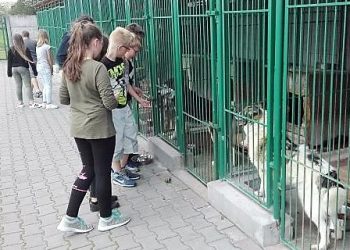 Zbierali przysmaki dla schroniska