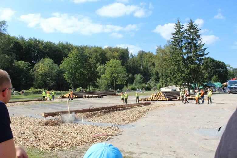 Drwal z Wólki wśród najlepszych w Polsce