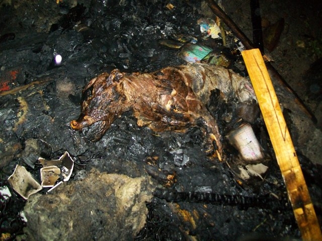 Palił się dom w Ostrowie ZDJĘCIA