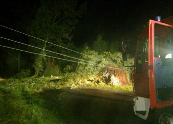 Strażacki raport po burzy