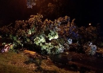 Trwa walka z żywiołem