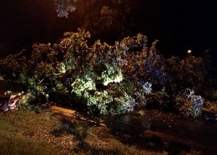 Trwa walka z żywiołem