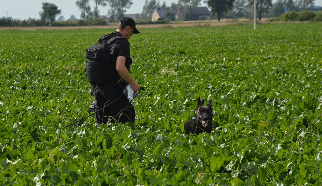 Groził, że się zabije. Były poszukiwania. Mamy nowe informacje