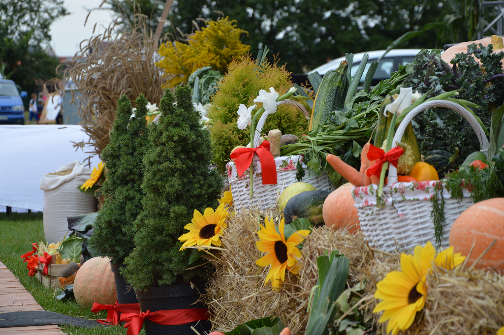 Podziękowali za plony. Zobacz zdjęcia