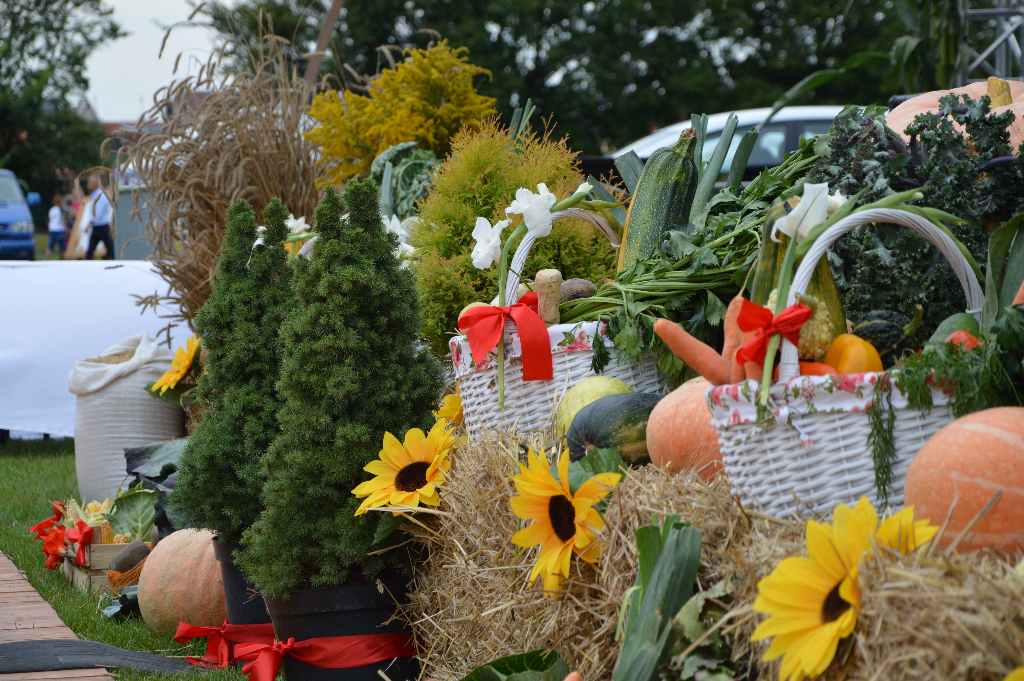 Podziękowali za plony. Zobacz zdjęcia
