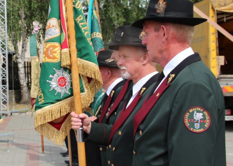 Znaleziono unikatowe dokumenty