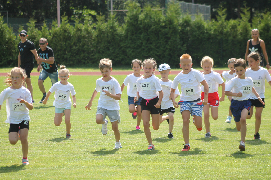 Biegi Wawrzynkowe na ponad 300 fotografiach