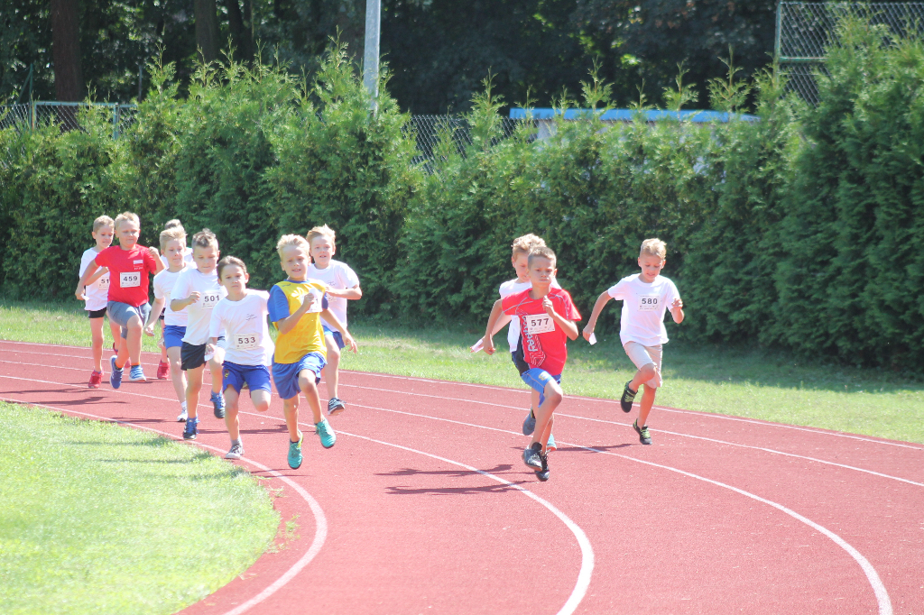 Biegi Wawrzynkowe na ponad 300 fotografiach