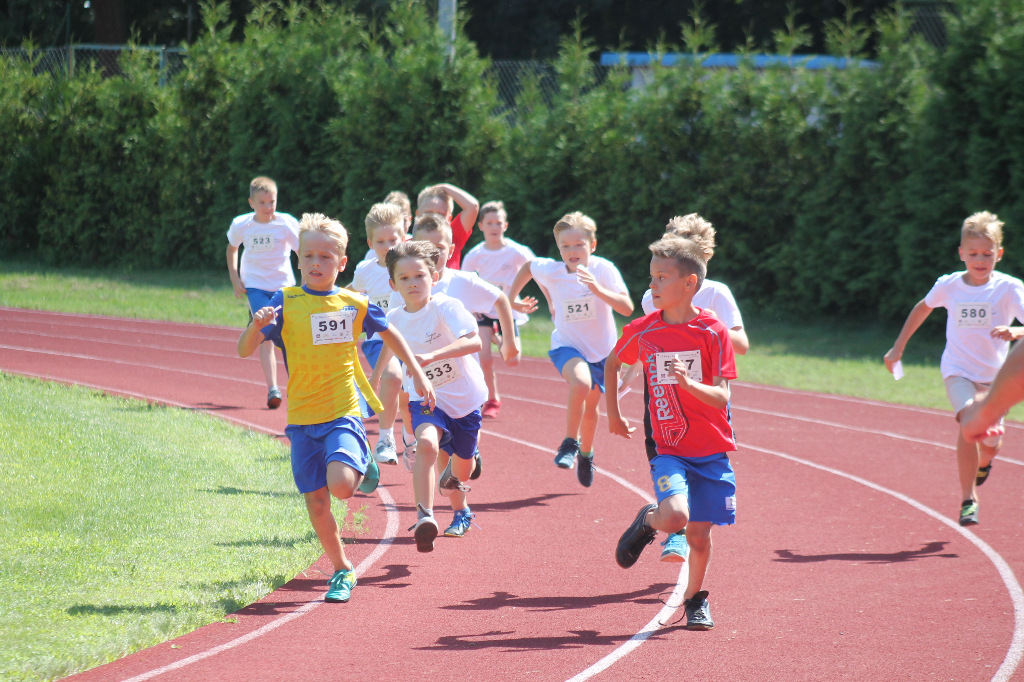 Biegi Wawrzynkowe na ponad 300 fotografiach
