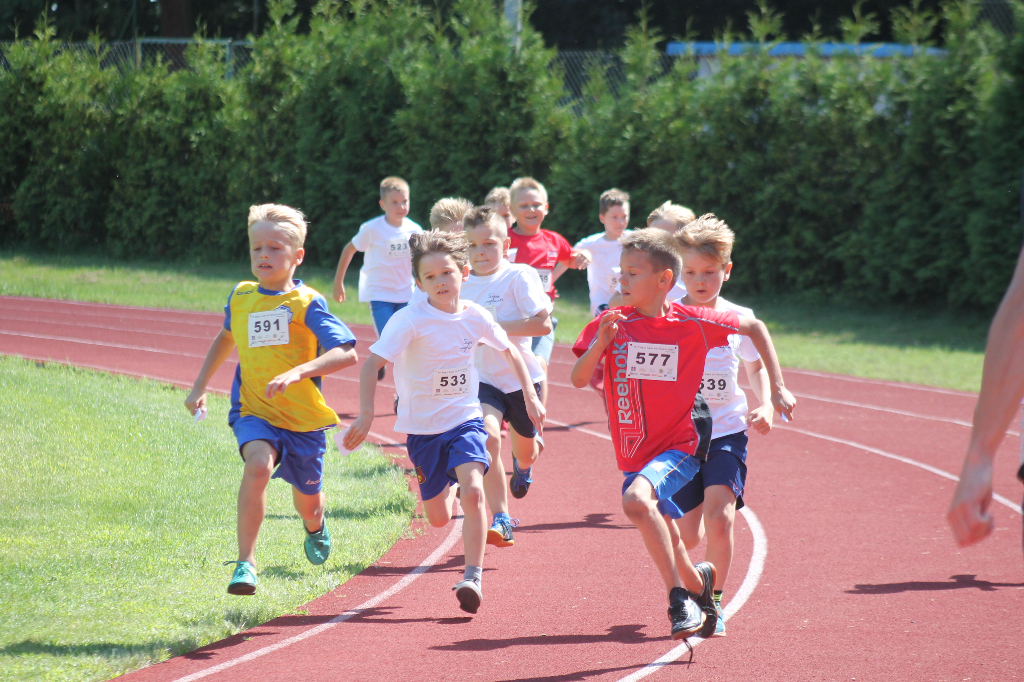 Biegi Wawrzynkowe na ponad 300 fotografiach