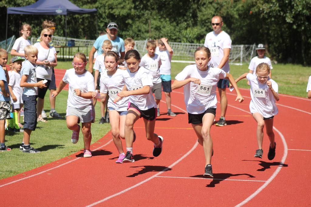 Biegi Wawrzynkowe na ponad 300 fotografiach