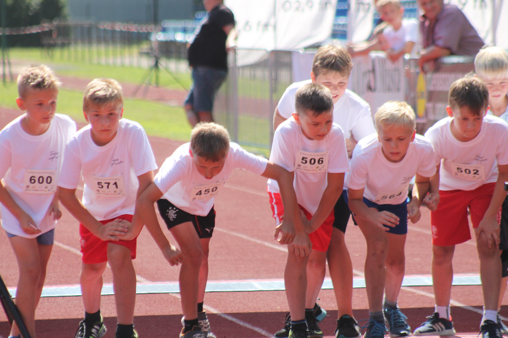 Biegi Wawrzynkowe na ponad 300 fotografiach
