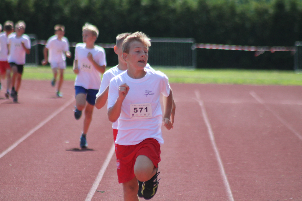 Biegi Wawrzynkowe na ponad 300 fotografiach