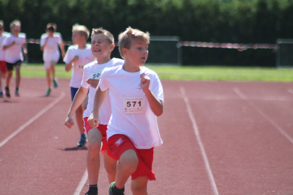 Biegi Wawrzynkowe na ponad 300 fotografiach