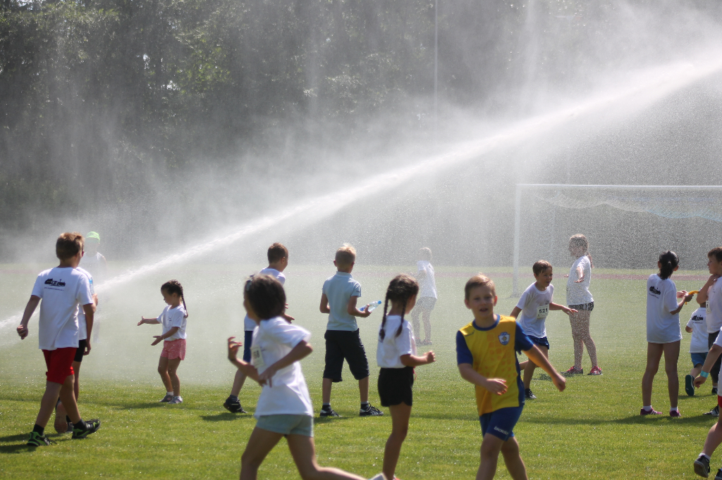 Biegi Wawrzynkowe na ponad 300 fotografiach