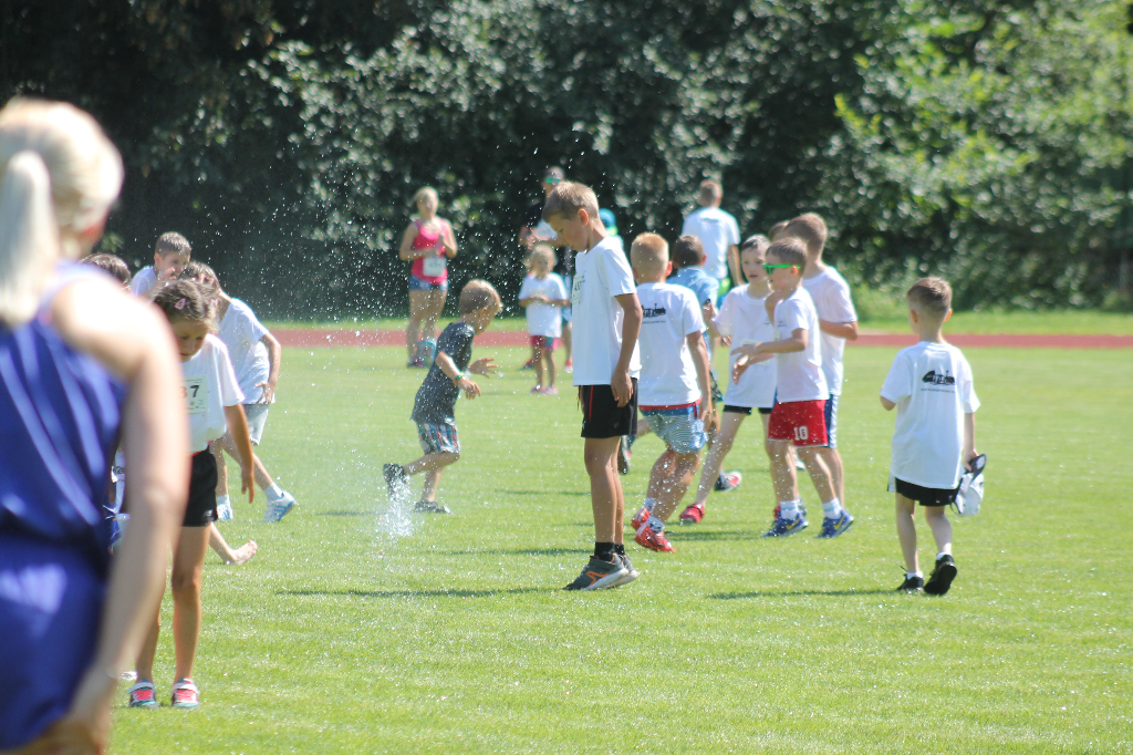 Biegi Wawrzynkowe na ponad 300 fotografiach