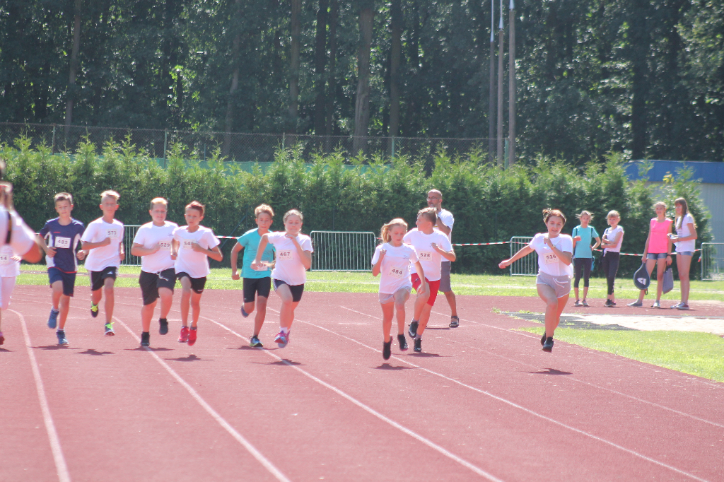 Biegi Wawrzynkowe na ponad 300 fotografiach