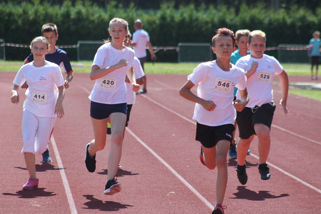 Biegi Wawrzynkowe na ponad 300 fotografiach