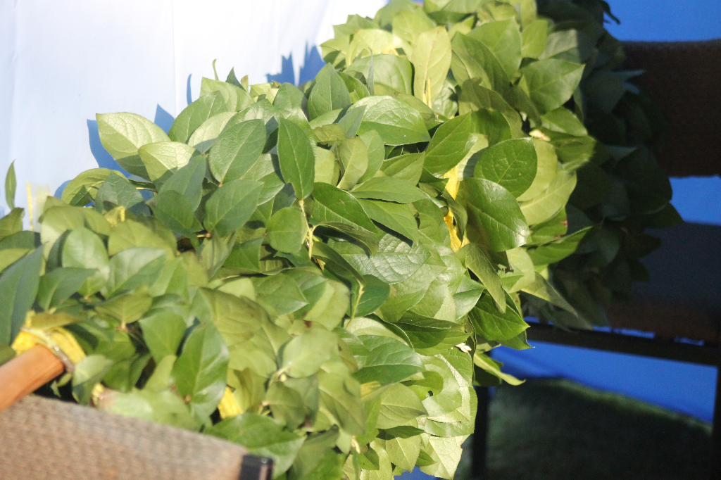 Biegi Wawrzynkowe na ponad 300 fotografiach