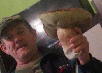 Grzyb gigant. Ważył prawie kilogram