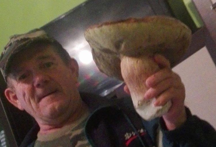 Grzyb gigant. Ważył prawie kilogram