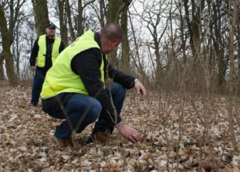 Zaginiony grzybiarz się odnalazł
