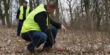 Zaginiony grzybiarz się odnalazł