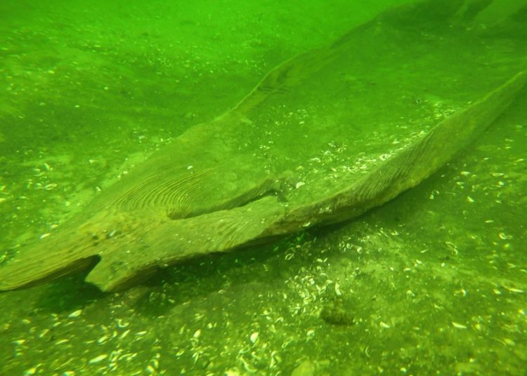 Badali sensacyjne odkrycie